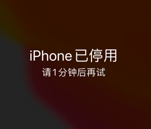 东乡苹果手机维修分享:iPhone 显示“不可用”或“已停用”怎么办？还能保留数据吗？ 