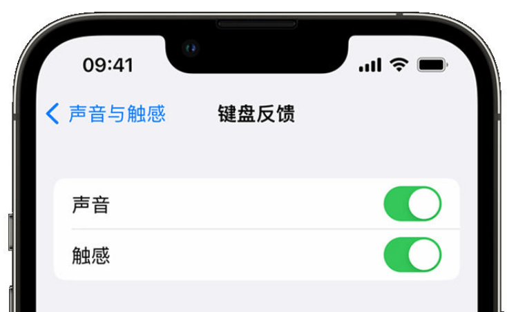 东乡苹果手机维修分享iPhone 14触感键盘使用方法 