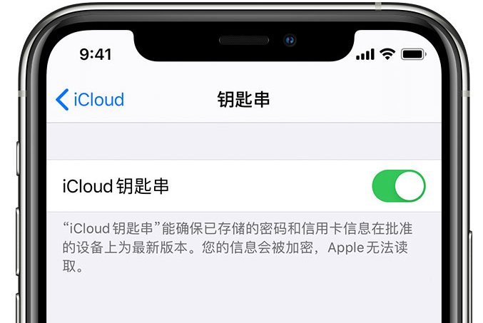 东乡苹果手机维修分享在 iPhone 上开启 iCloud 钥匙串之后会储存哪些信息 