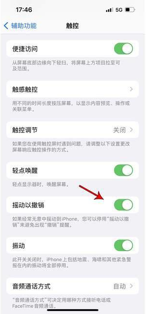 东乡苹果手机维修分享iPhone手机如何设置摇一摇删除文字 