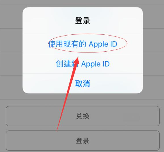 东乡苹果手机维修分享两台iPhone设备可以同时登录一个Apple ID吗 