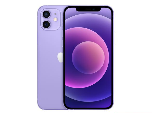 东乡苹果手机维修分享现阶段要不要入手紫色版iPhone12 
