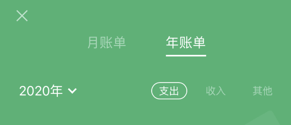 东乡苹果手机维修分享如何在 iPhone 上查看支付宝和微信年支出账单 