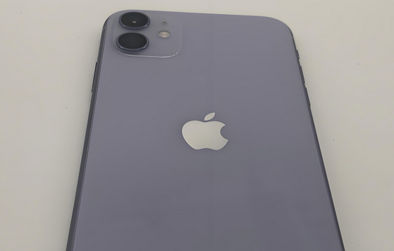 东乡苹果11系统维修分享iPhone11手机系统崩溃无法开机如何解决 